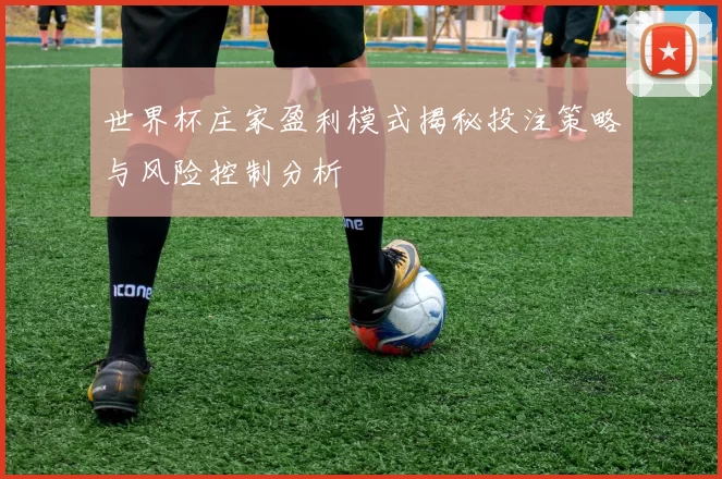 世界杯庄家盈利模式揭秘投注策略与风险控制分析